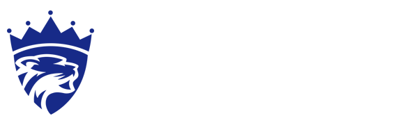 login_蓝狮娱乐「一家专注的游戏平台」